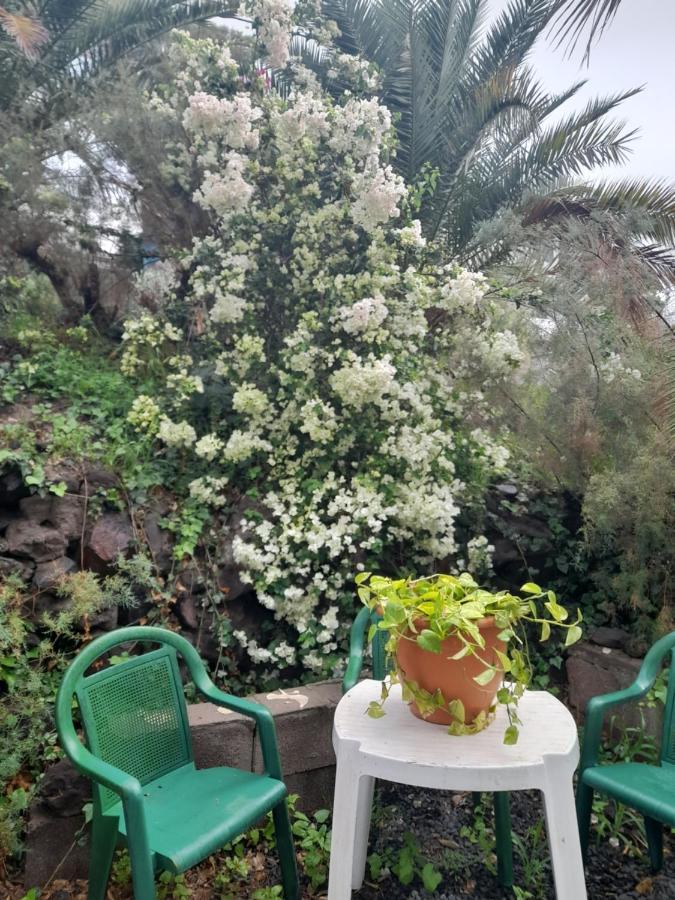-The Garden - Lägenhet Las Palmas de Gran Canaria Exteriör bild